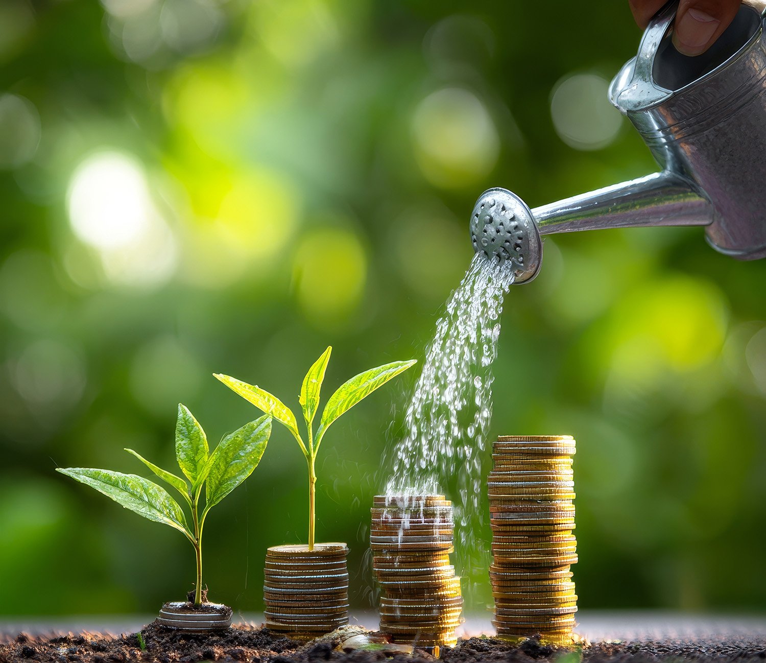 Watering Growing Money: Financial Growth and Investment Concept